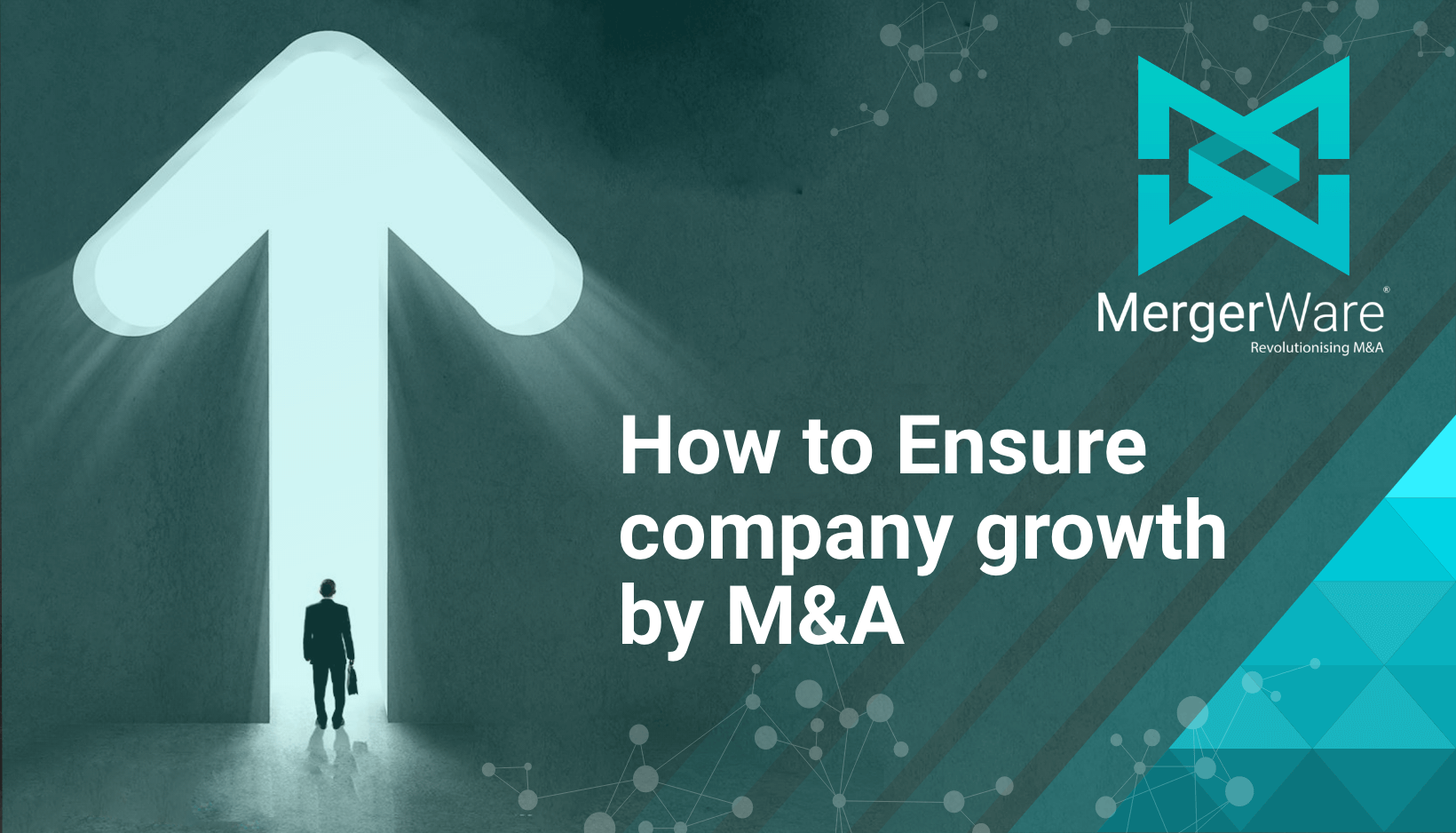 Read more about the article How to ensure company growth by M&A