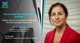 How to make Revenue Synergies possible?